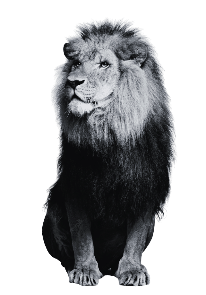 Experto en Reestructuraciones